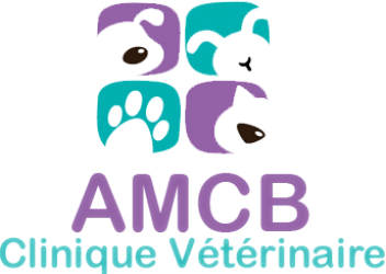 AMCB Clinique Vétérinaire